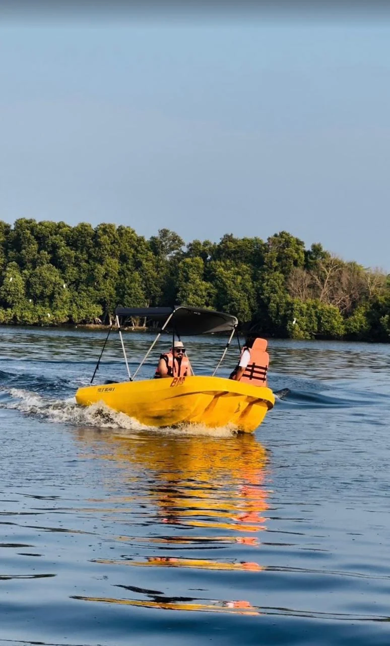 Yellow motorboat on the water beside mangroves