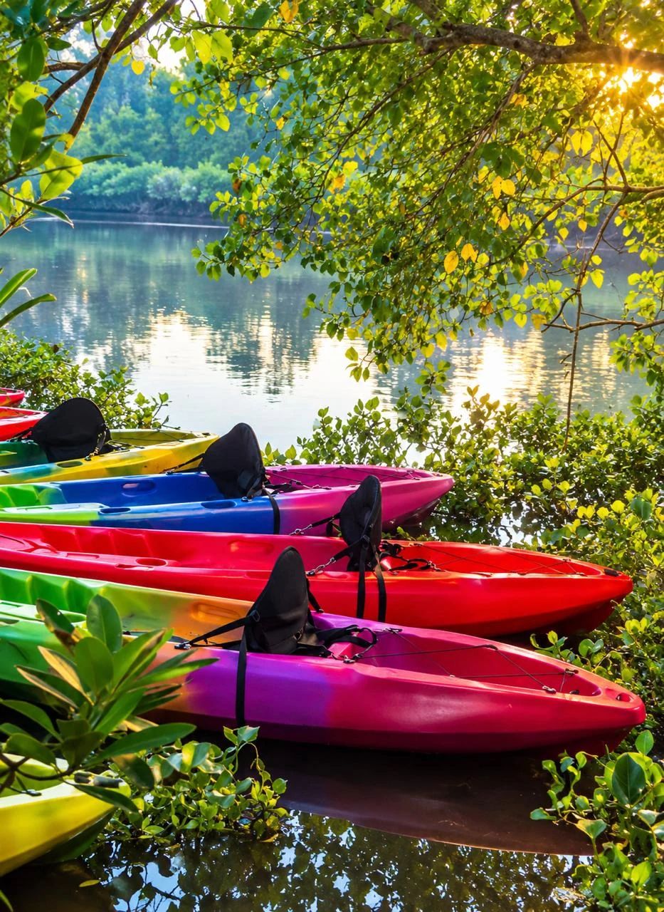 Colourful kayaks beside a shaded waterway